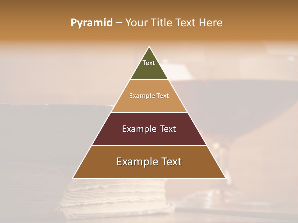 A Sign On A Beach Meaning Dogs Are Not Allowed PowerPoint Template