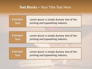 A Sign On A Beach Meaning Dogs Are Not Allowed PowerPoint Template