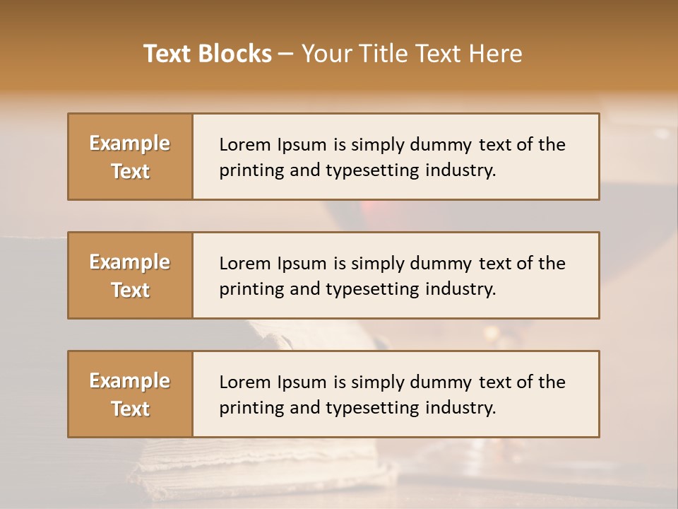 A Sign On A Beach Meaning Dogs Are Not Allowed PowerPoint Template