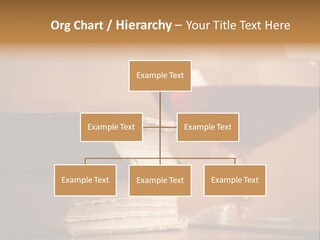 A Sign On A Beach Meaning Dogs Are Not Allowed PowerPoint Template