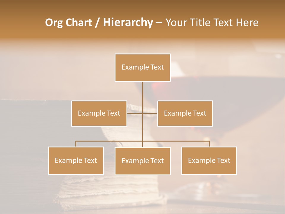 A Sign On A Beach Meaning Dogs Are Not Allowed PowerPoint Template