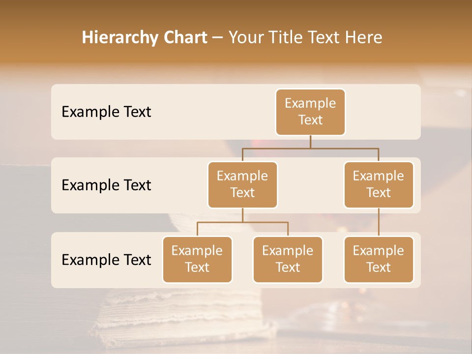 A Sign On A Beach Meaning Dogs Are Not Allowed PowerPoint Template