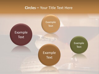 A Sign On A Beach Meaning Dogs Are Not Allowed PowerPoint Template