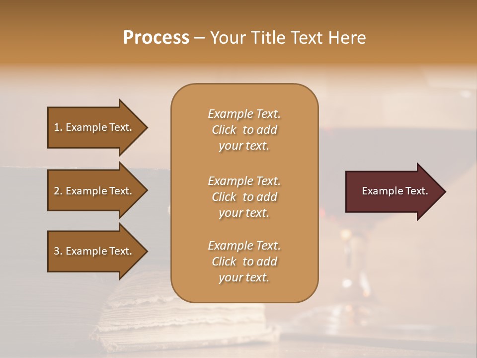 A Sign On A Beach Meaning Dogs Are Not Allowed PowerPoint Template