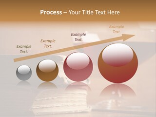 A Sign On A Beach Meaning Dogs Are Not Allowed PowerPoint Template