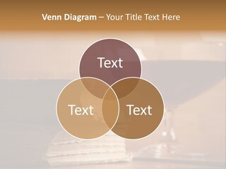 A Sign On A Beach Meaning Dogs Are Not Allowed PowerPoint Template