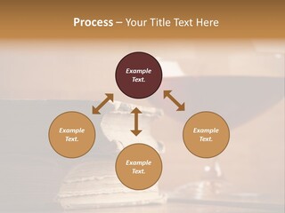 A Sign On A Beach Meaning Dogs Are Not Allowed PowerPoint Template