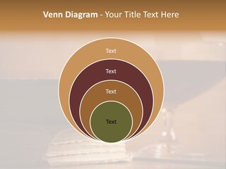 A Sign On A Beach Meaning Dogs Are Not Allowed PowerPoint Template