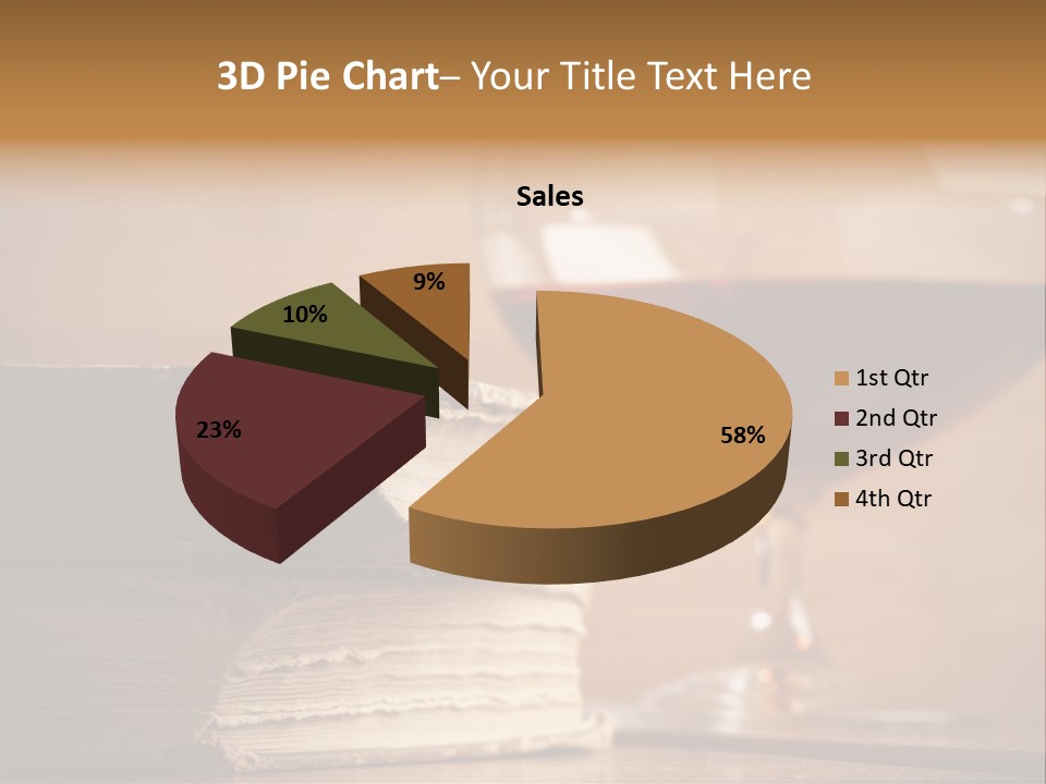 A Sign On A Beach Meaning Dogs Are Not Allowed PowerPoint Template