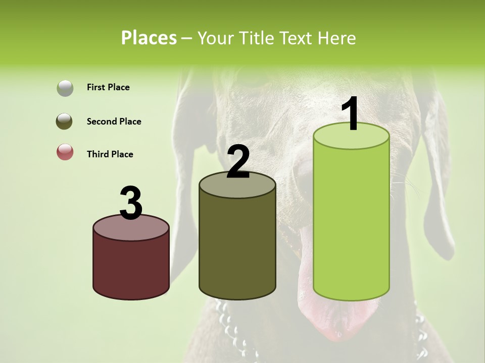 Portrait Of Siblings And Their Parents With Cute Cat Looking At Camera PowerPoint Template