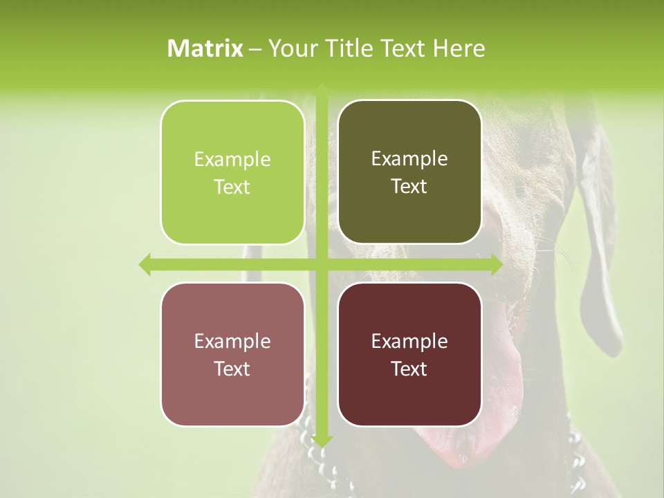 Portrait Of Siblings And Their Parents With Cute Cat Looking At Camera PowerPoint Template