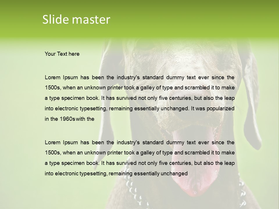 Portrait Of Siblings And Their Parents With Cute Cat Looking At Camera PowerPoint Template