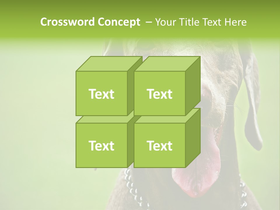 Portrait Of Siblings And Their Parents With Cute Cat Looking At Camera PowerPoint Template