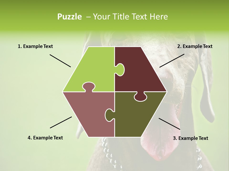 Portrait Of Siblings And Their Parents With Cute Cat Looking At Camera PowerPoint Template