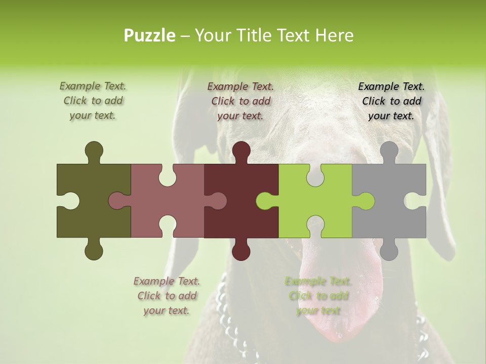 Portrait Of Siblings And Their Parents With Cute Cat Looking At Camera PowerPoint Template