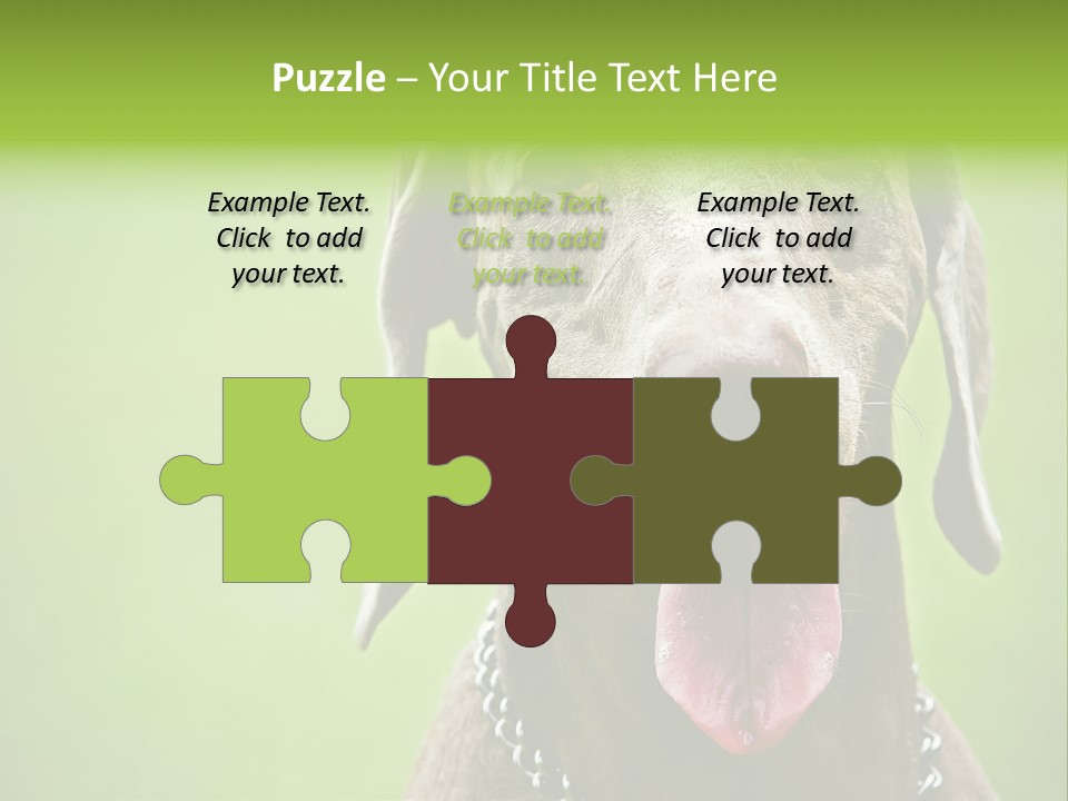 Portrait Of Siblings And Their Parents With Cute Cat Looking At Camera PowerPoint Template