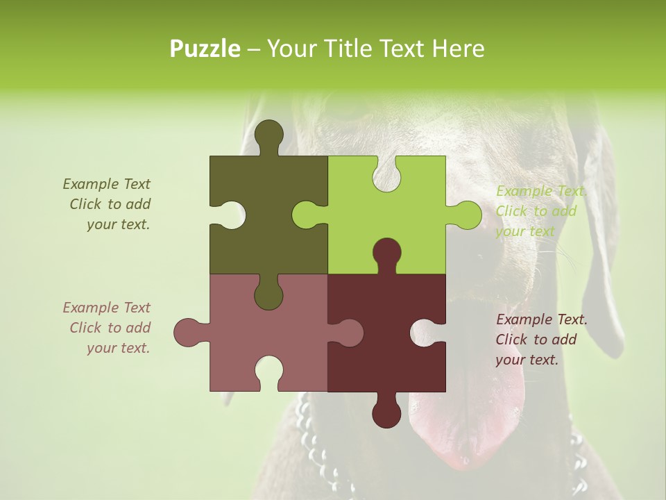 Portrait Of Siblings And Their Parents With Cute Cat Looking At Camera PowerPoint Template