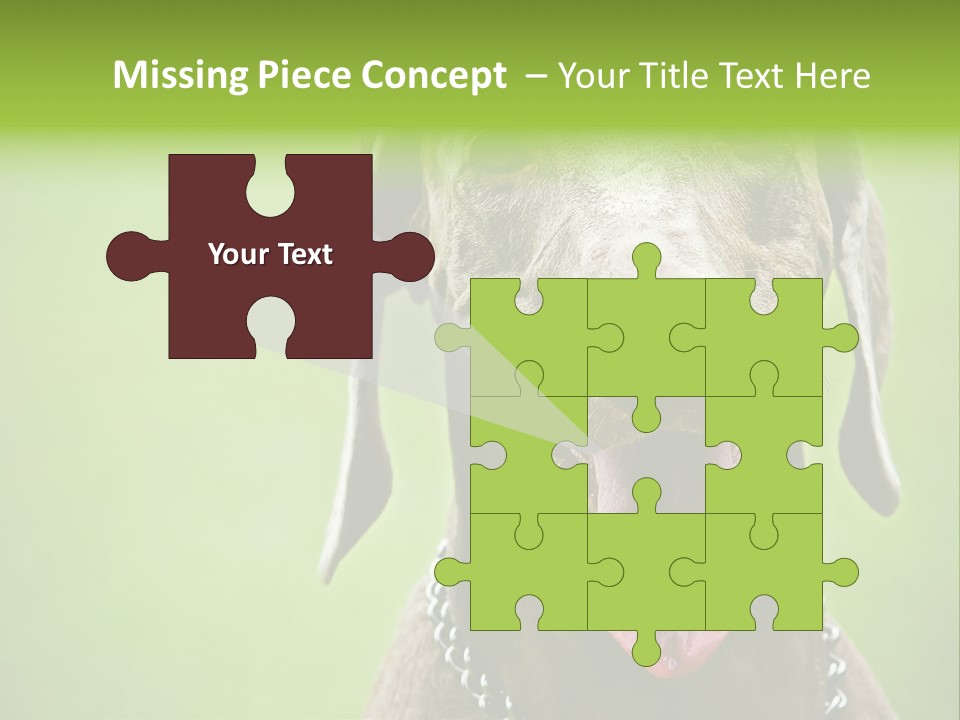 Portrait Of Siblings And Their Parents With Cute Cat Looking At Camera PowerPoint Template