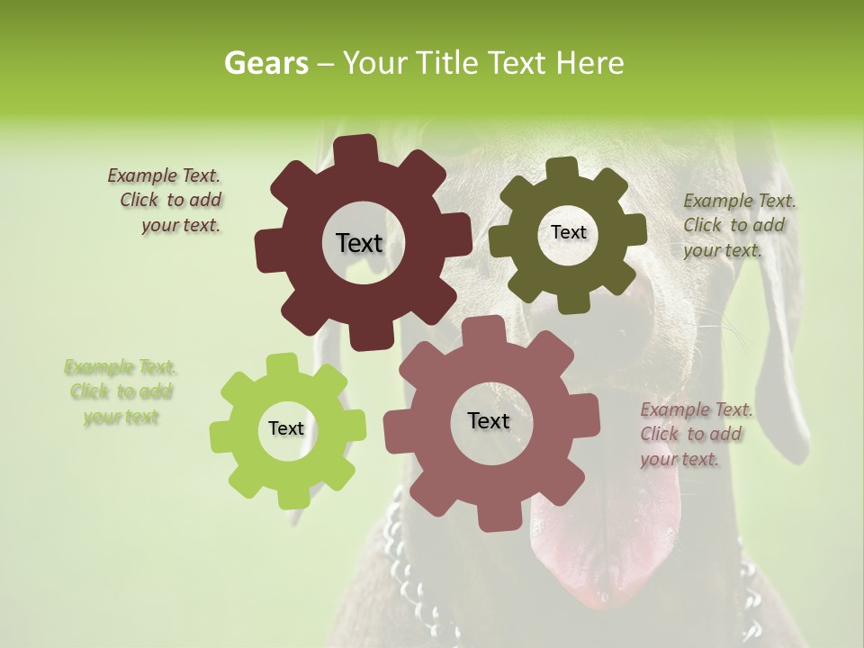 Portrait Of Siblings And Their Parents With Cute Cat Looking At Camera PowerPoint Template