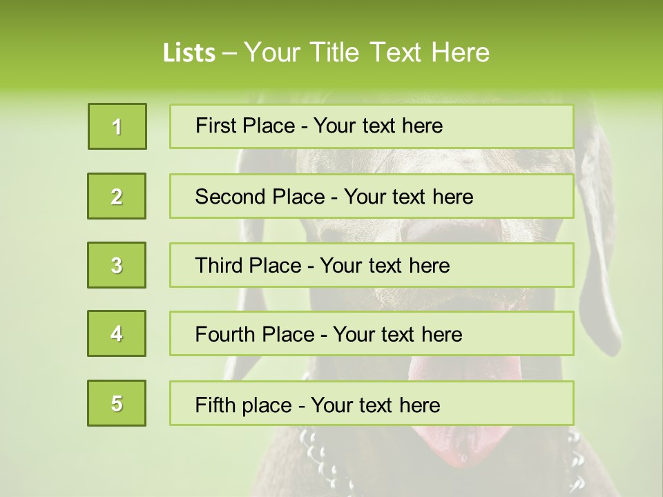 Portrait Of Siblings And Their Parents With Cute Cat Looking At Camera PowerPoint Template