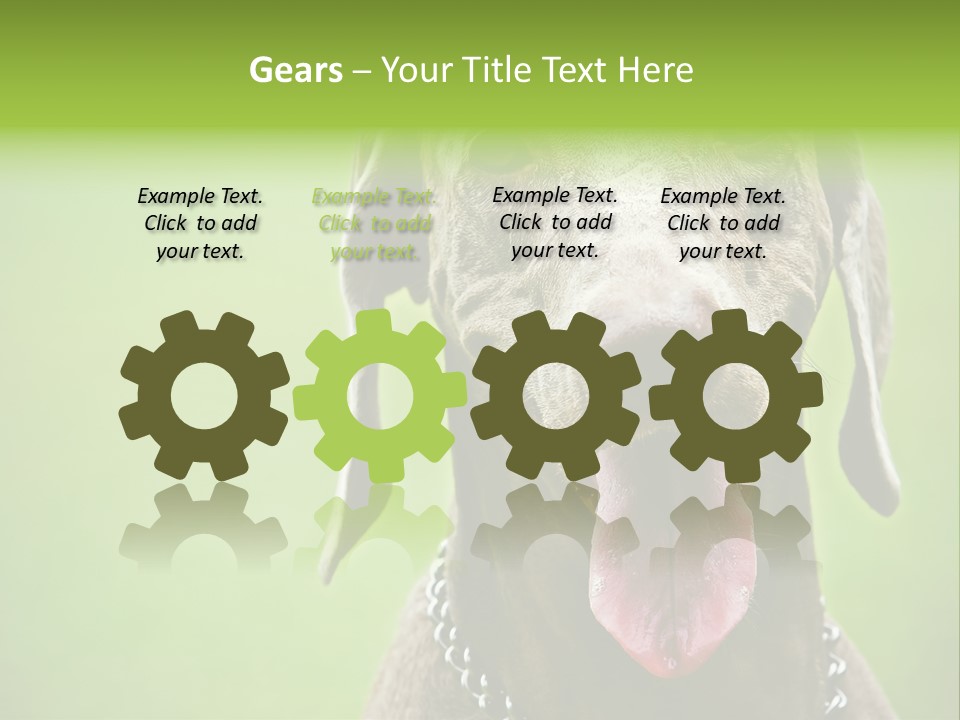 Portrait Of Siblings And Their Parents With Cute Cat Looking At Camera PowerPoint Template