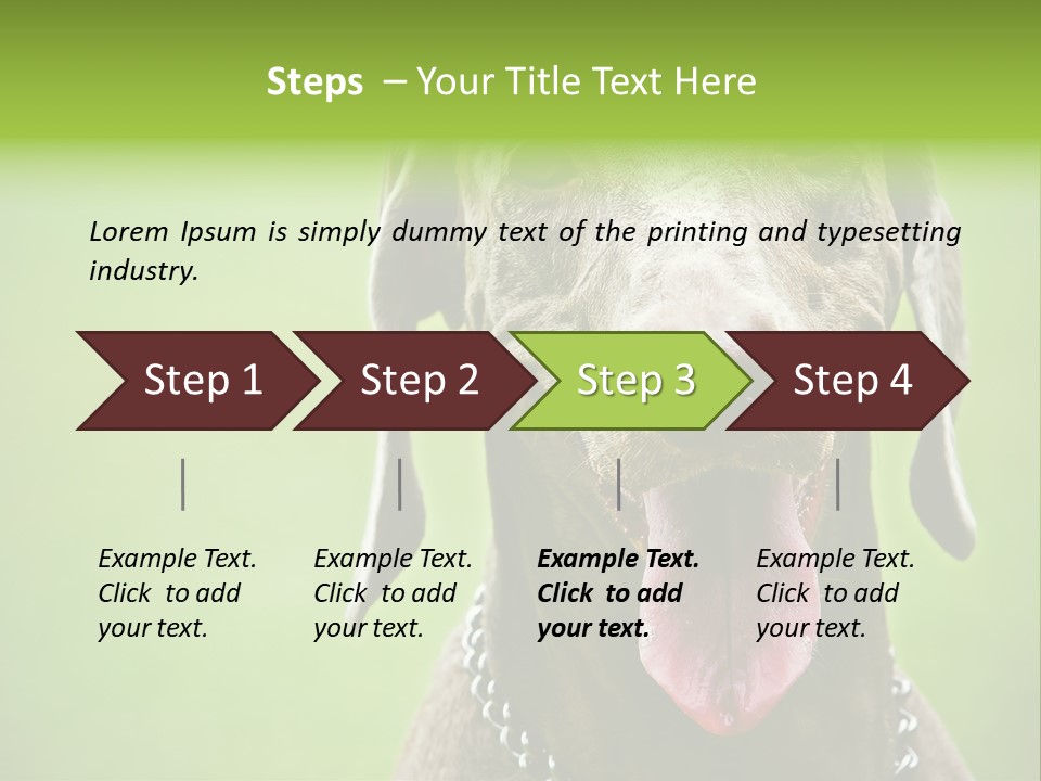 Portrait Of Siblings And Their Parents With Cute Cat Looking At Camera PowerPoint Template