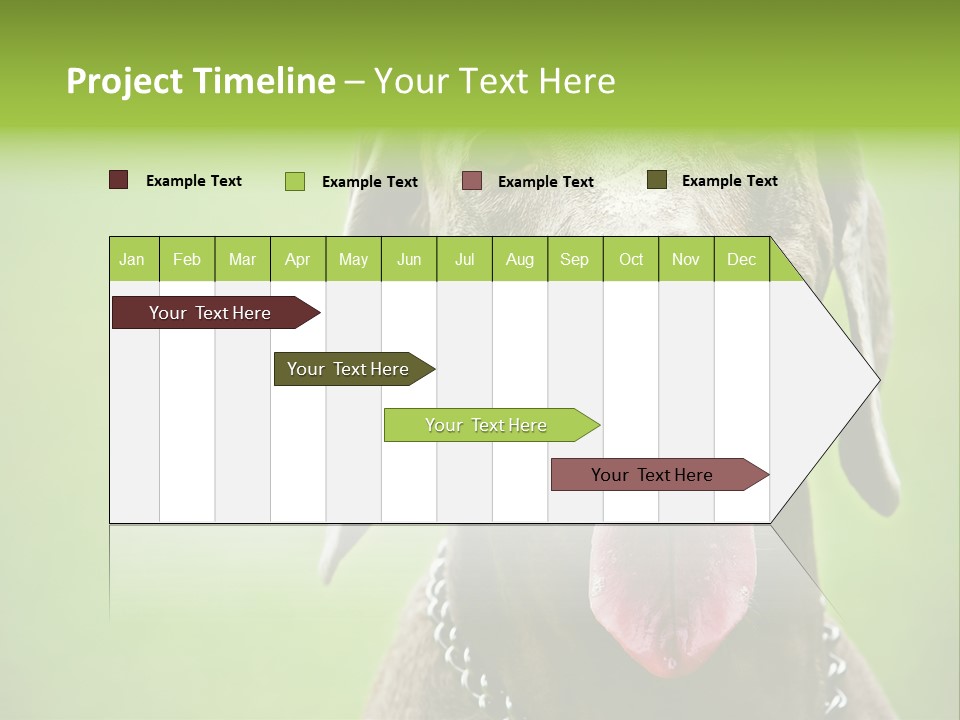 Portrait Of Siblings And Their Parents With Cute Cat Looking At Camera PowerPoint Template