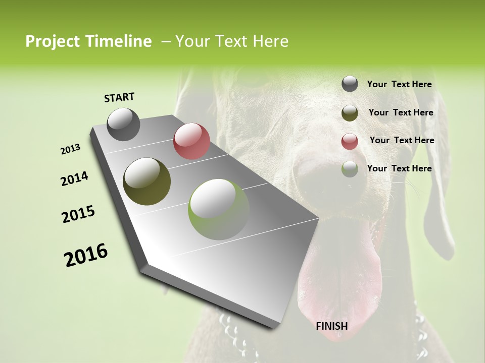 Portrait Of Siblings And Their Parents With Cute Cat Looking At Camera PowerPoint Template