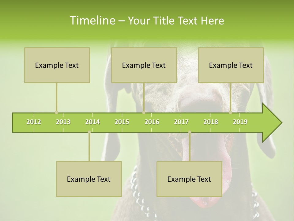 Portrait Of Siblings And Their Parents With Cute Cat Looking At Camera PowerPoint Template