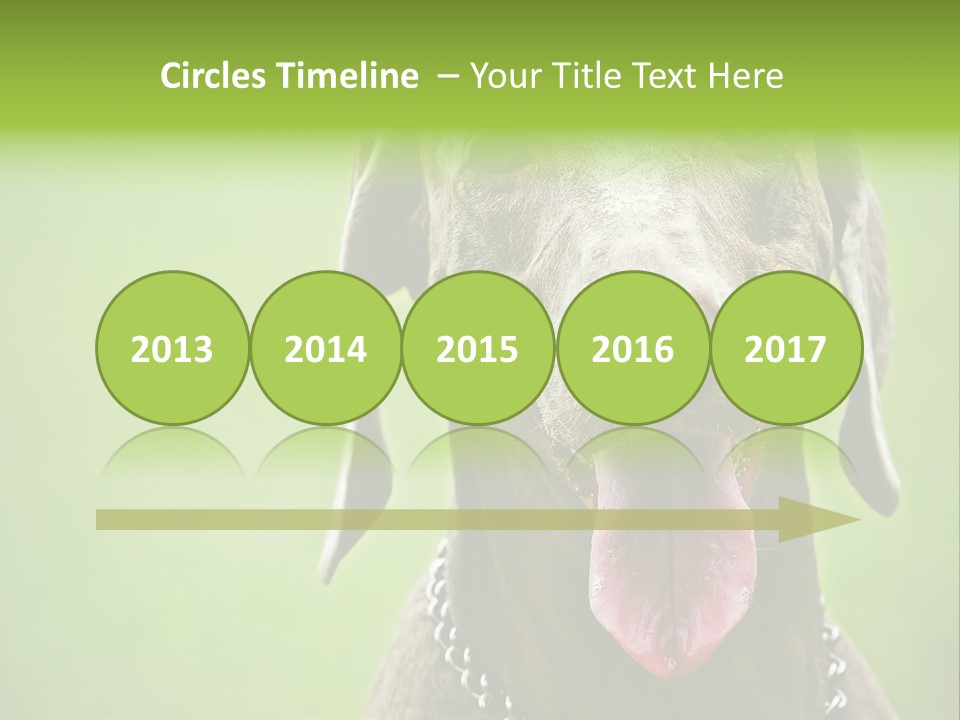 Portrait Of Siblings And Their Parents With Cute Cat Looking At Camera PowerPoint Template