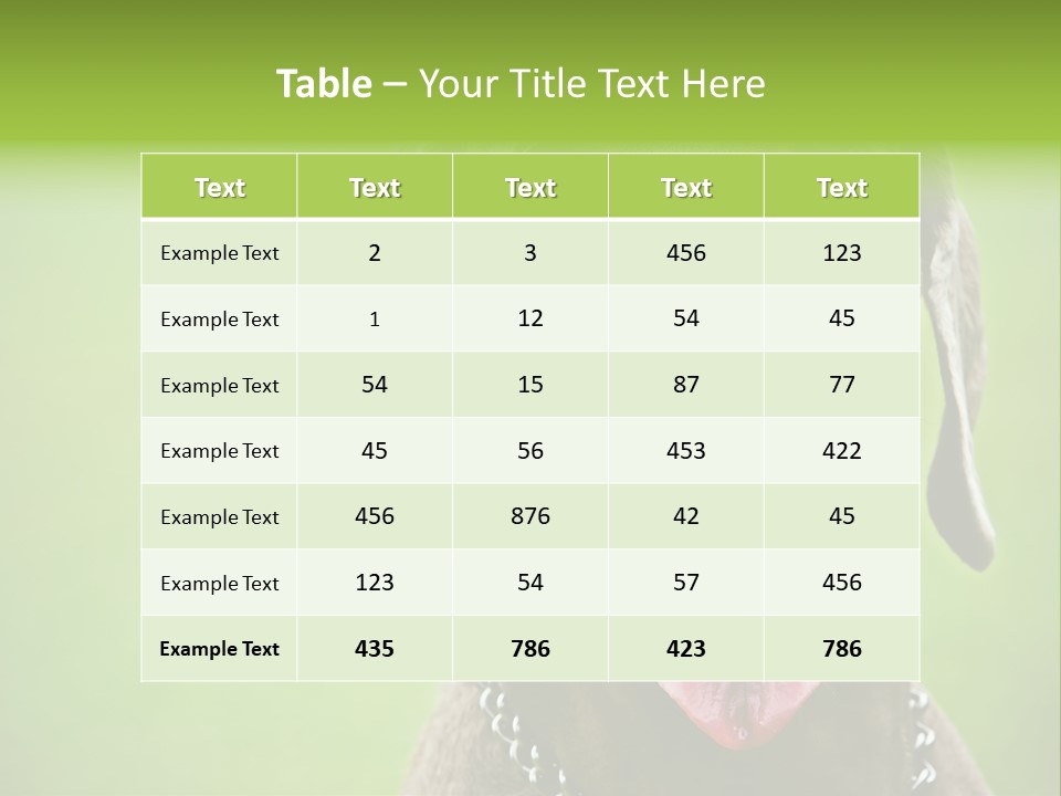 Portrait Of Siblings And Their Parents With Cute Cat Looking At Camera PowerPoint Template