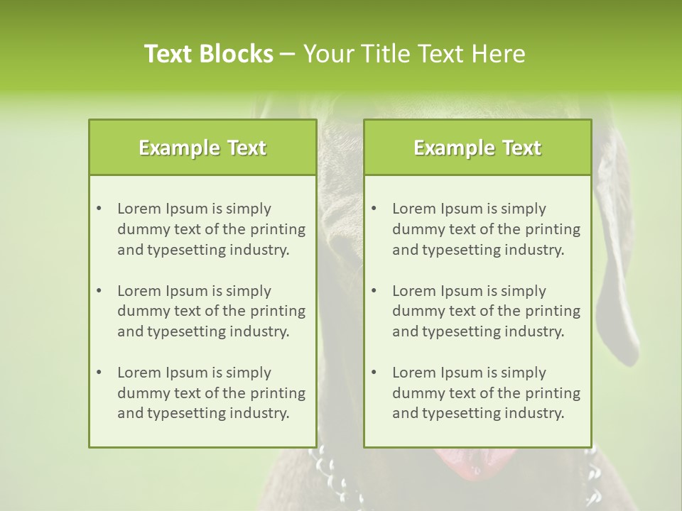 Portrait Of Siblings And Their Parents With Cute Cat Looking At Camera PowerPoint Template