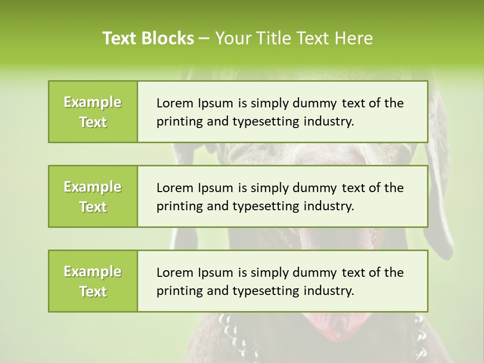 Portrait Of Siblings And Their Parents With Cute Cat Looking At Camera PowerPoint Template