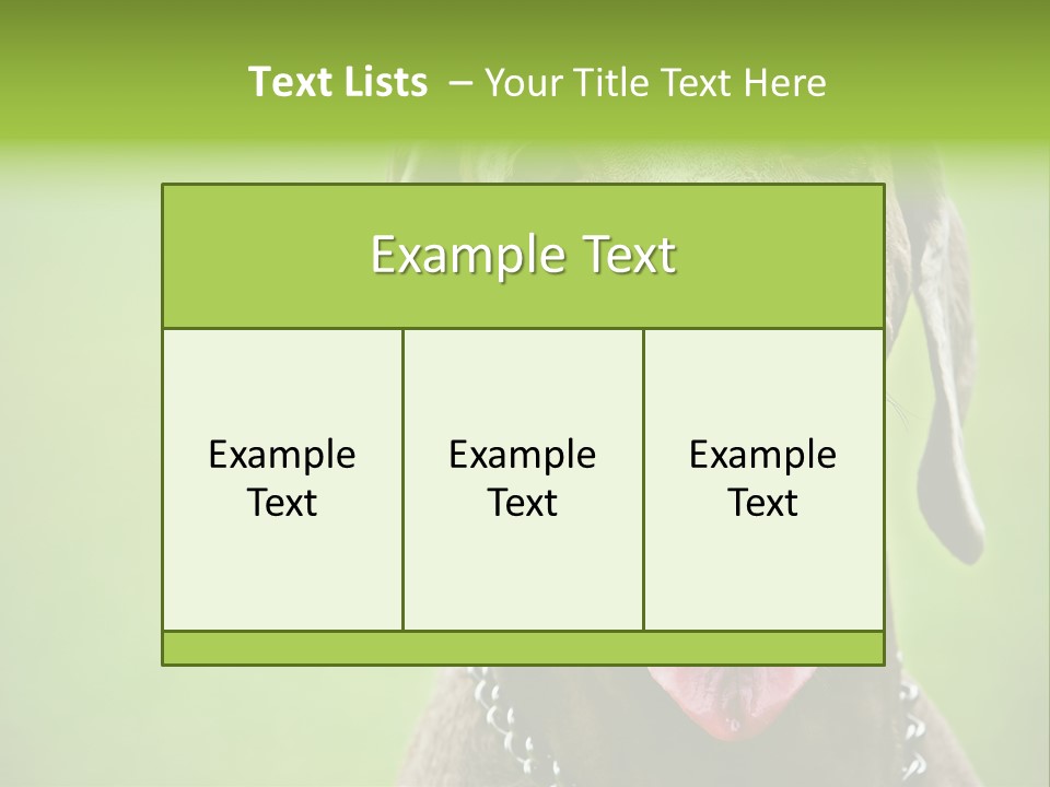 Portrait Of Siblings And Their Parents With Cute Cat Looking At Camera PowerPoint Template