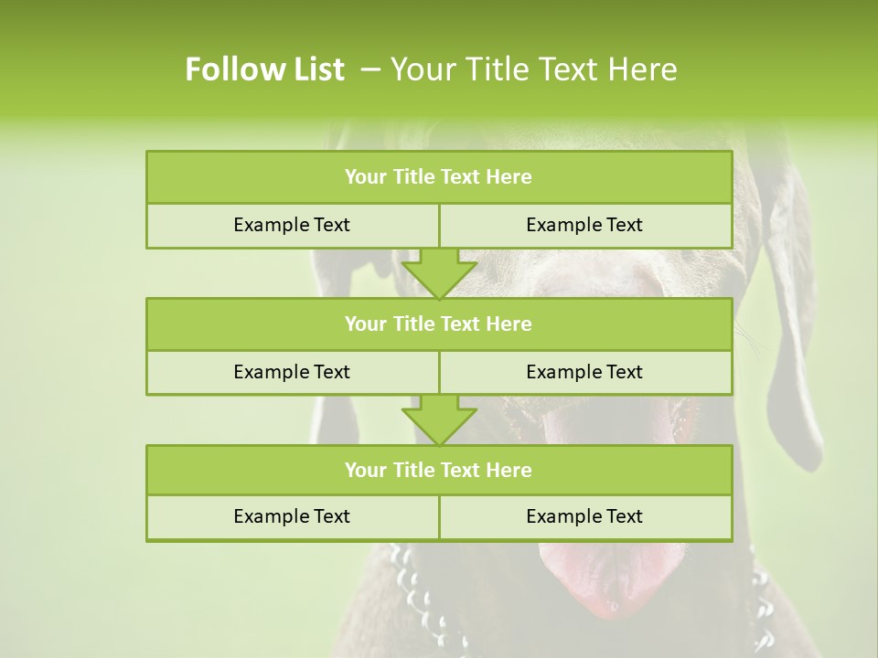 Portrait Of Siblings And Their Parents With Cute Cat Looking At Camera PowerPoint Template