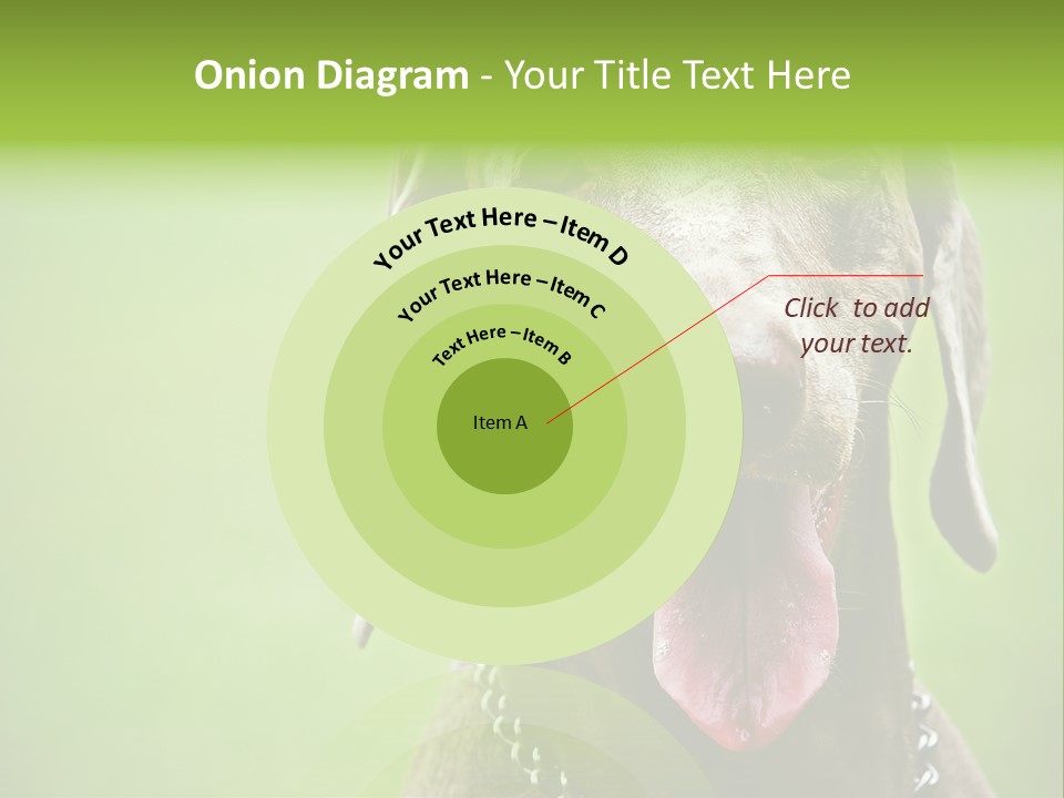 Portrait Of Siblings And Their Parents With Cute Cat Looking At Camera PowerPoint Template