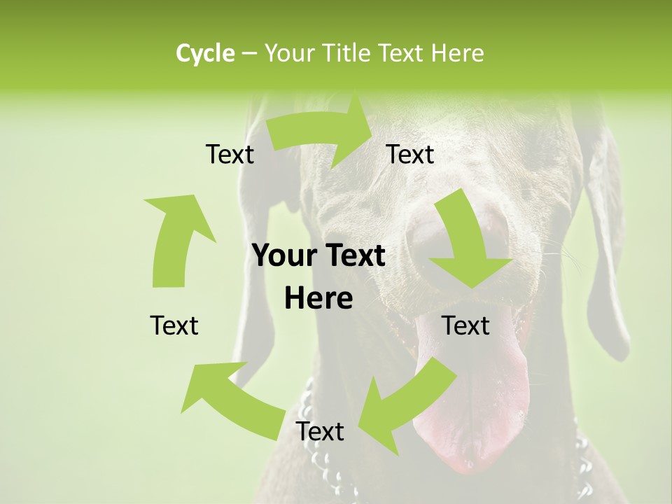 Portrait Of Siblings And Their Parents With Cute Cat Looking At Camera PowerPoint Template