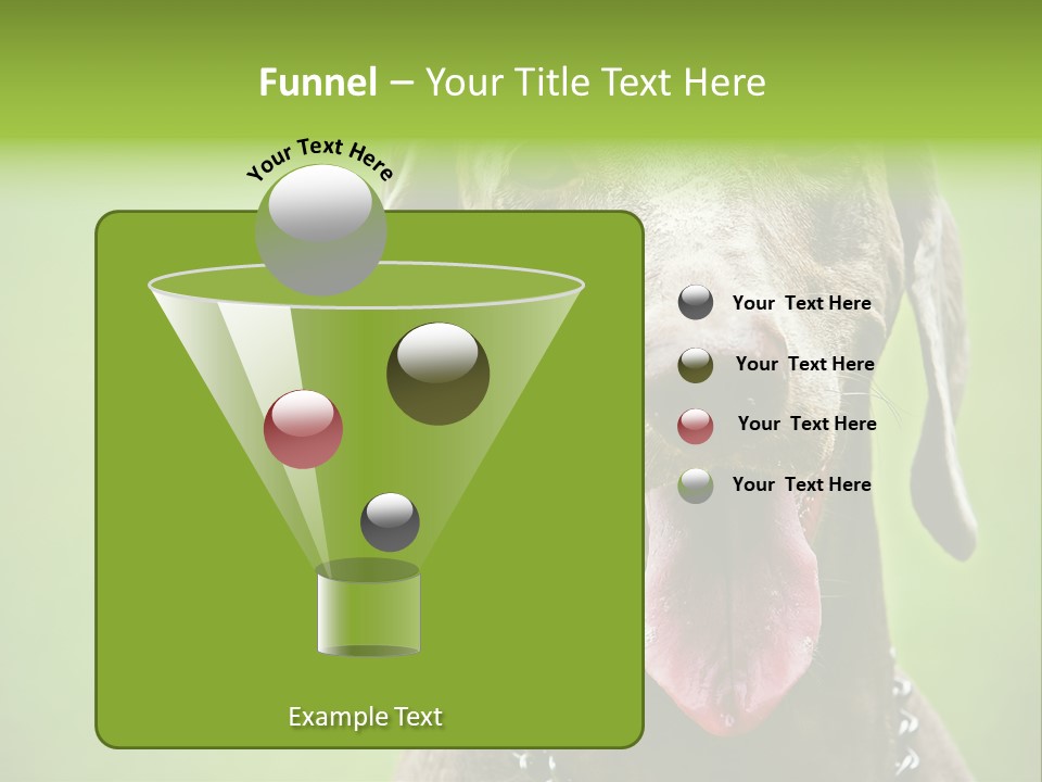 Portrait Of Siblings And Their Parents With Cute Cat Looking At Camera PowerPoint Template