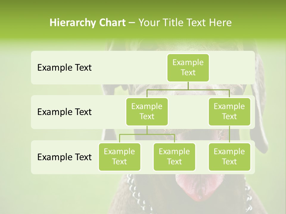 Portrait Of Siblings And Their Parents With Cute Cat Looking At Camera PowerPoint Template