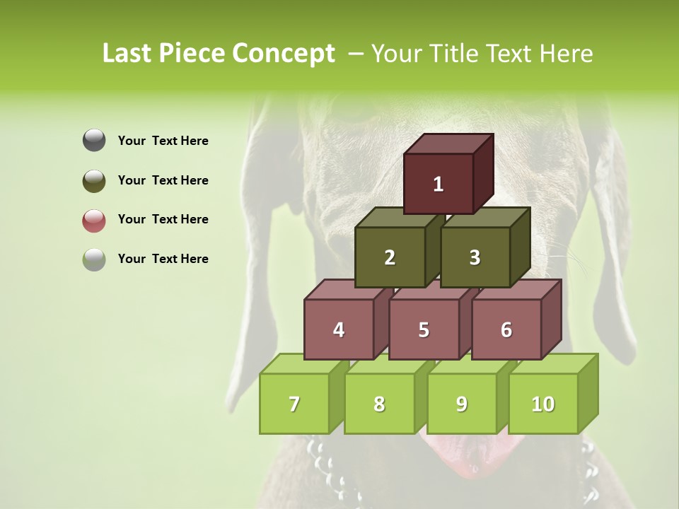 Portrait Of Siblings And Their Parents With Cute Cat Looking At Camera PowerPoint Template