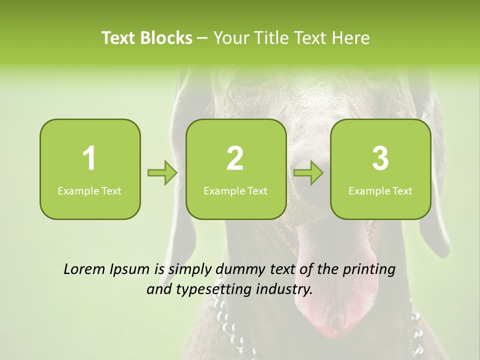 Portrait Of Siblings And Their Parents With Cute Cat Looking At Camera PowerPoint Template