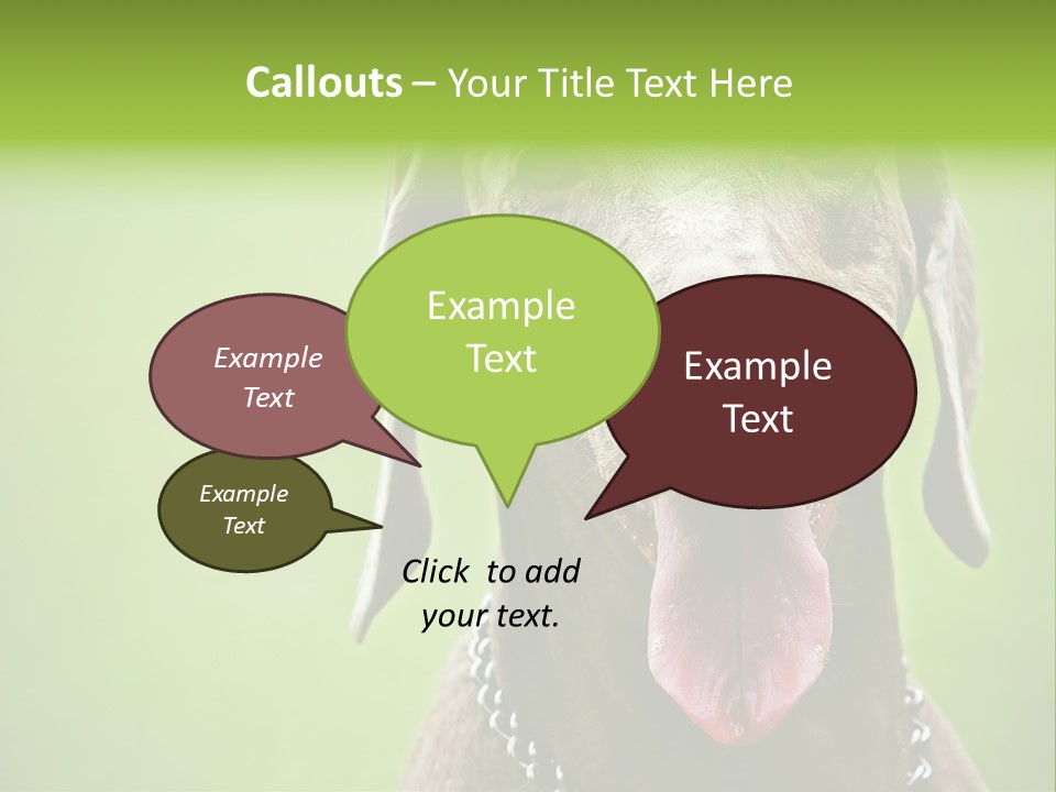 Portrait Of Siblings And Their Parents With Cute Cat Looking At Camera PowerPoint Template