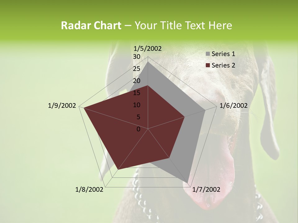 Portrait Of Siblings And Their Parents With Cute Cat Looking At Camera PowerPoint Template