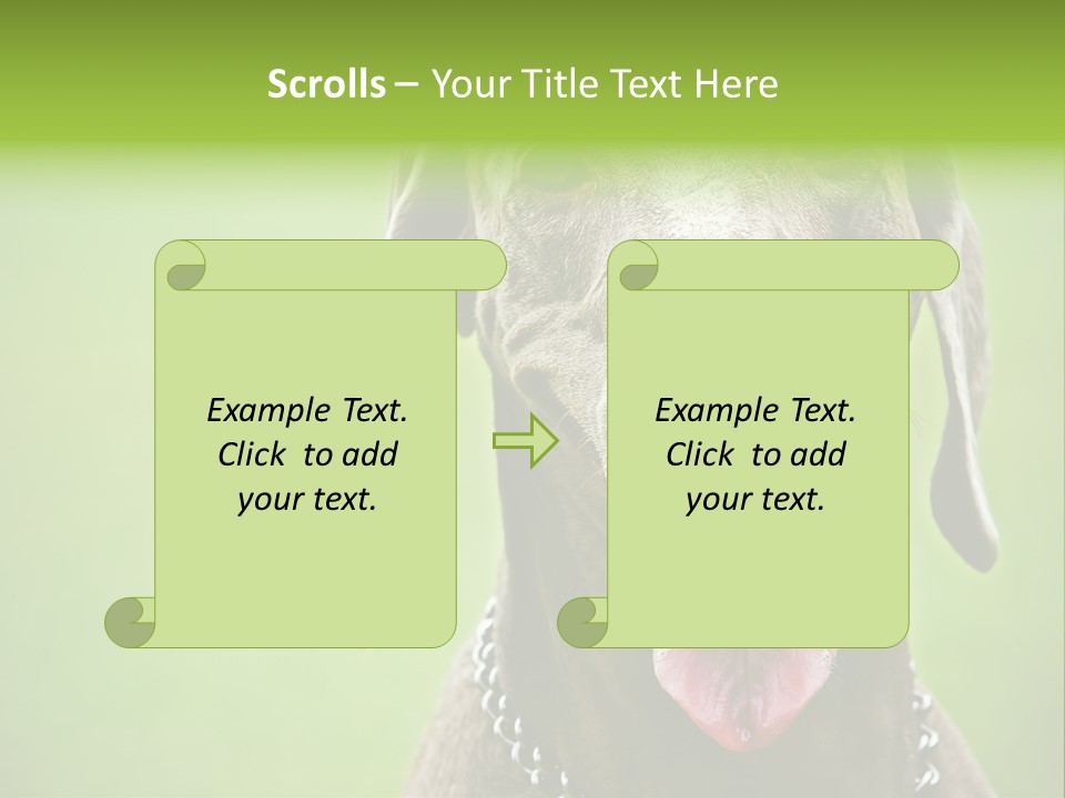 Portrait Of Siblings And Their Parents With Cute Cat Looking At Camera PowerPoint Template