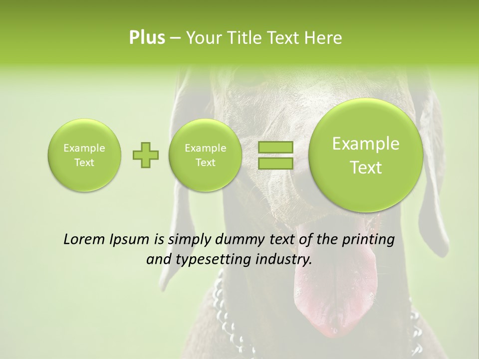 Portrait Of Siblings And Their Parents With Cute Cat Looking At Camera PowerPoint Template