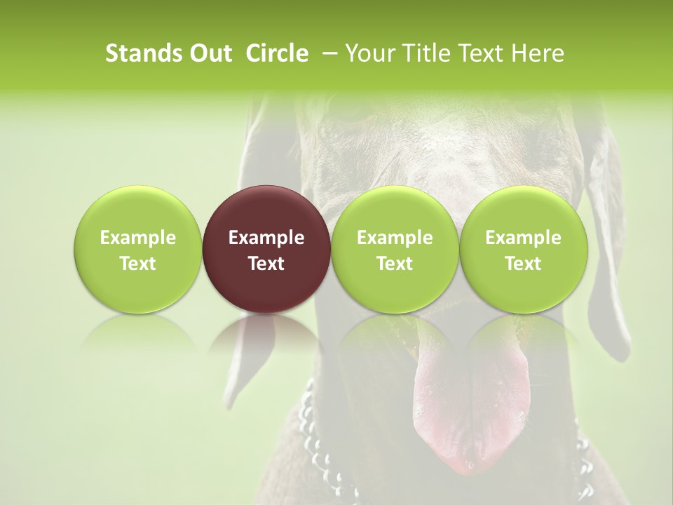 Portrait Of Siblings And Their Parents With Cute Cat Looking At Camera PowerPoint Template