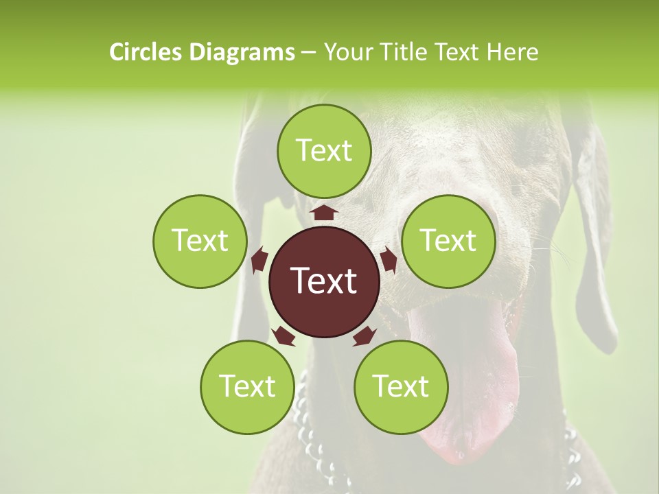 Portrait Of Siblings And Their Parents With Cute Cat Looking At Camera PowerPoint Template