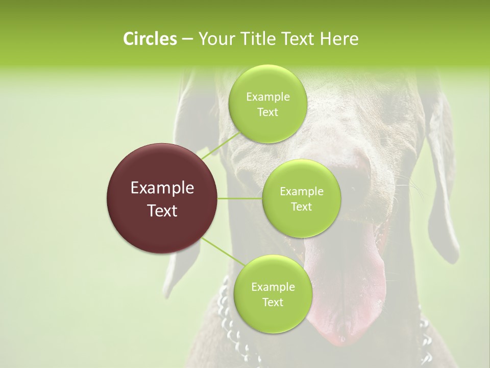 Portrait Of Siblings And Their Parents With Cute Cat Looking At Camera PowerPoint Template