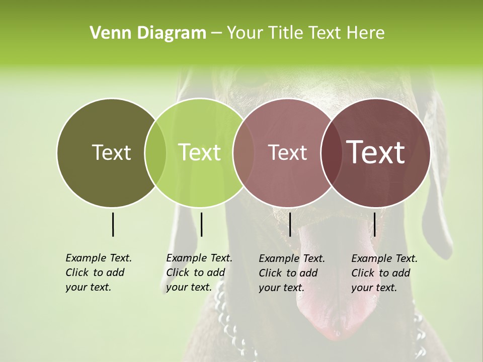 Portrait Of Siblings And Their Parents With Cute Cat Looking At Camera PowerPoint Template