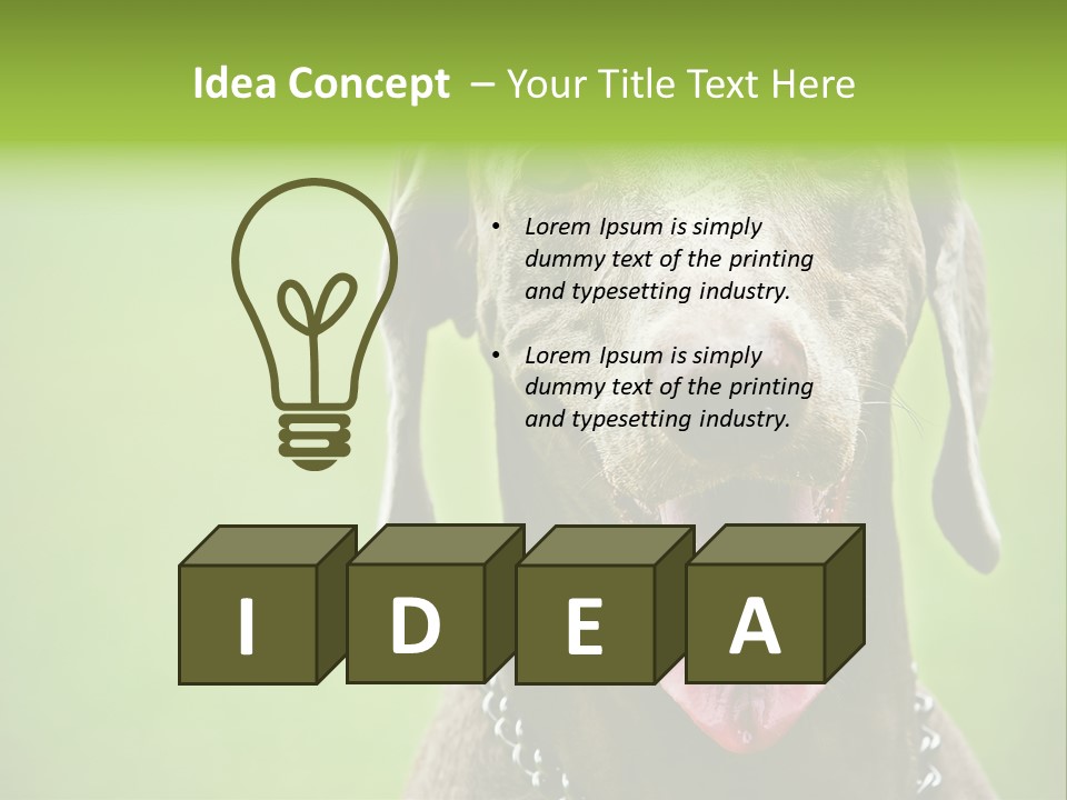 Portrait Of Siblings And Their Parents With Cute Cat Looking At Camera PowerPoint Template